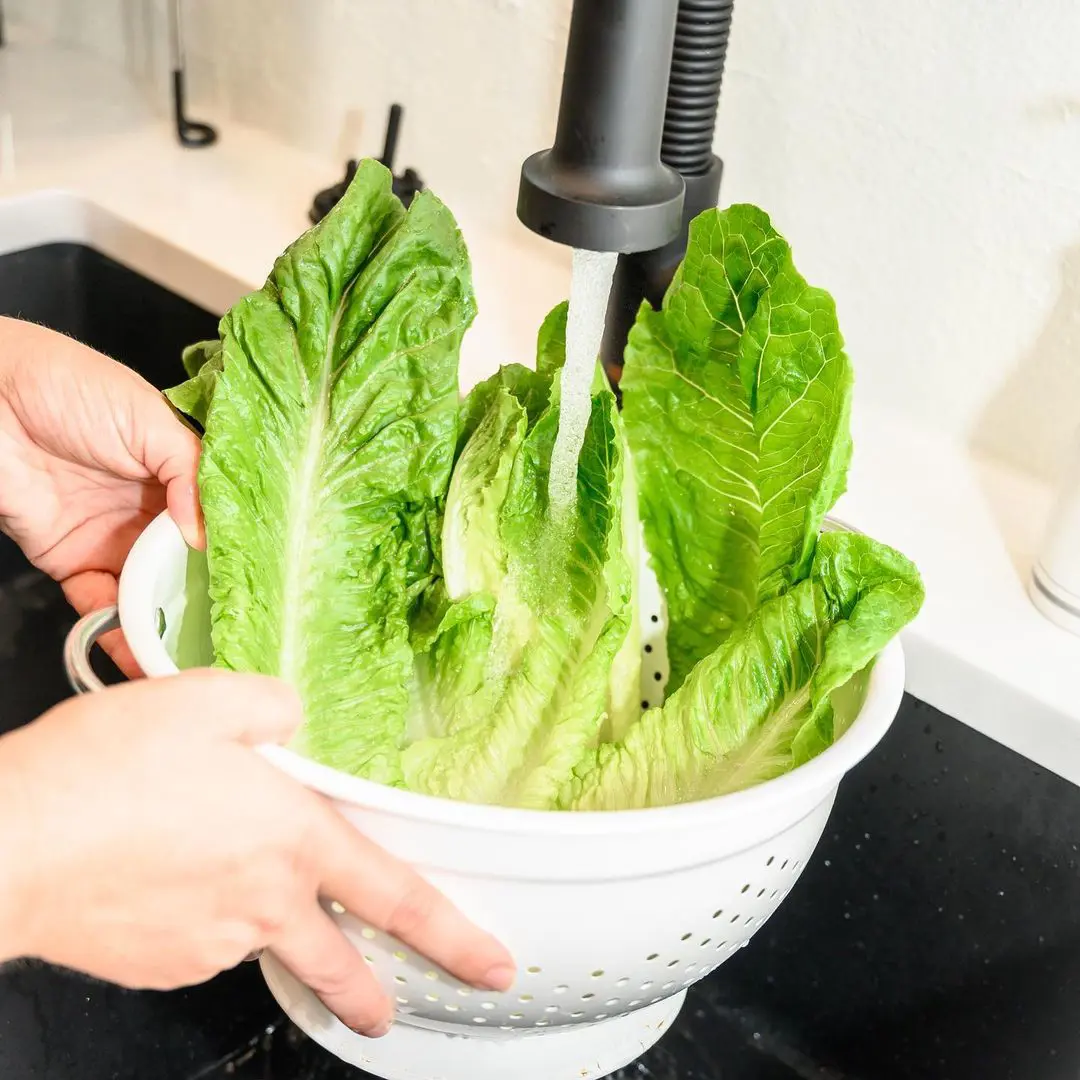 How To Store Lettuce Crisp And Green