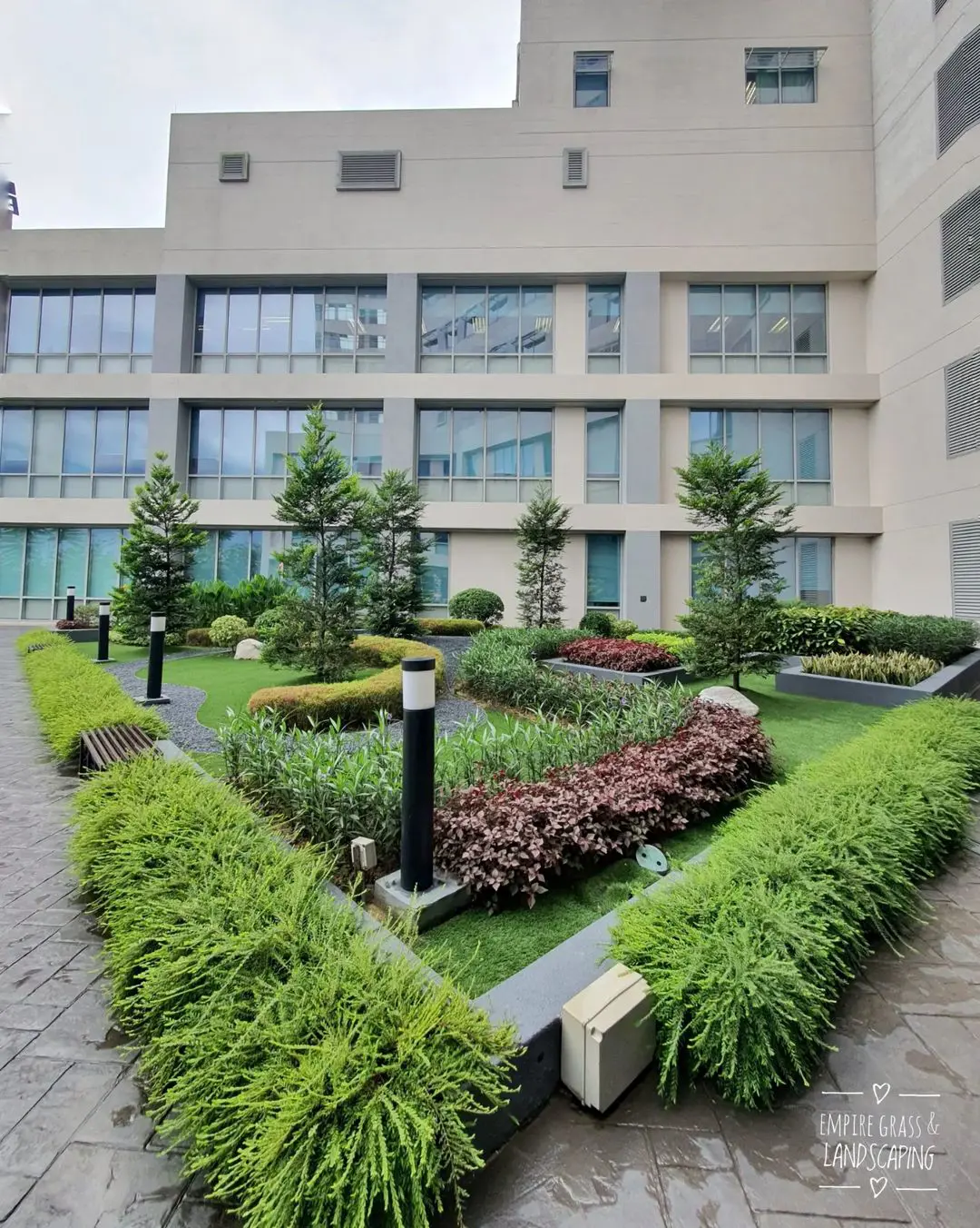 An Easy Guide On Planting Grass Seed