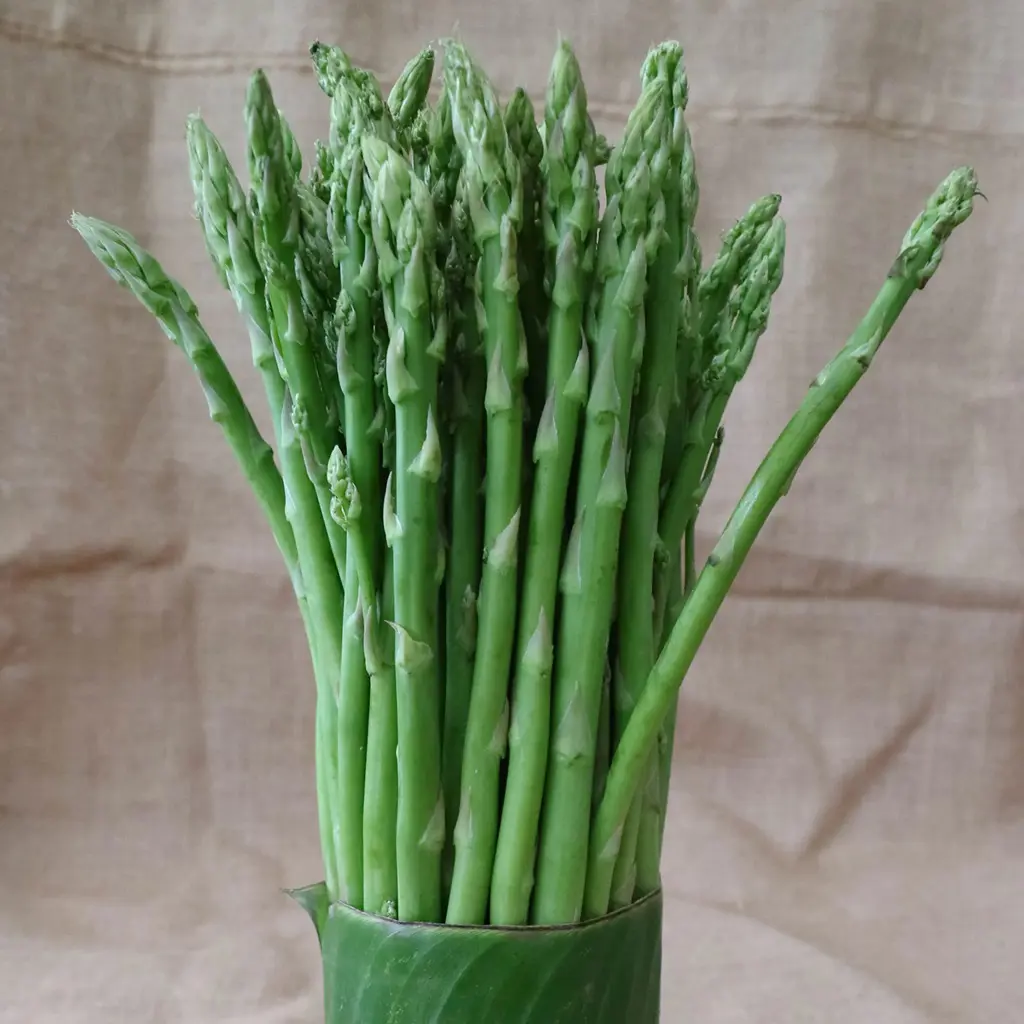How To Store Asparagus To Keep Them Fresh