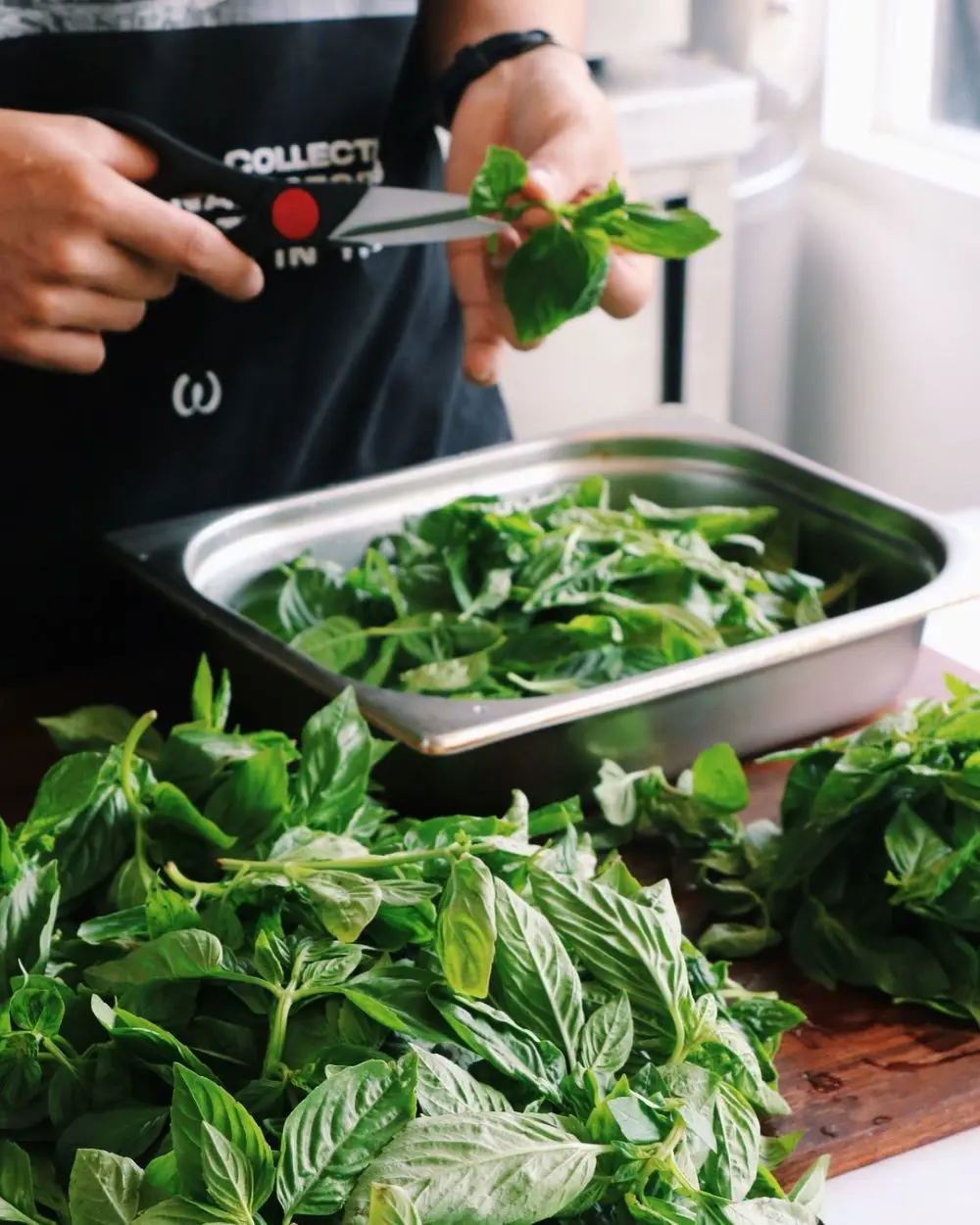 How To Store Basil So That It Stays Fresh