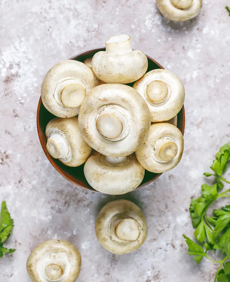 How To Store Mushrooms Properly