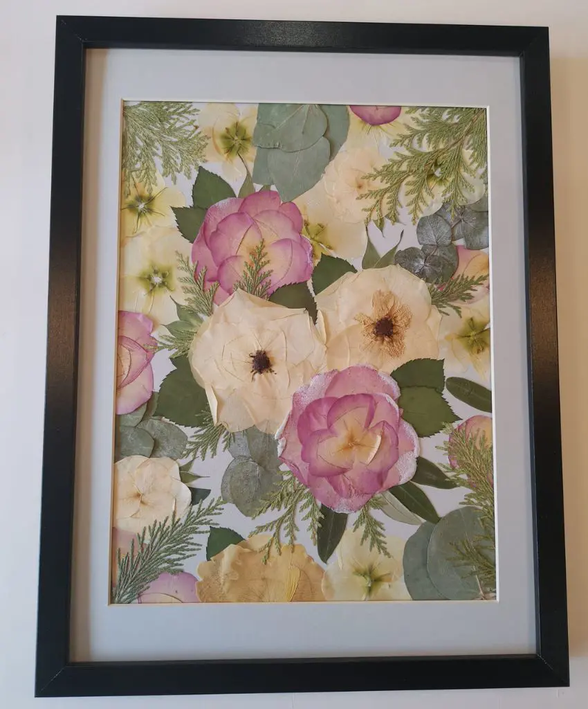 How To Press Rose Without Losing Color