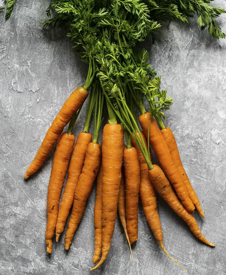 How To Grow Carrots With Harvesting Ideas