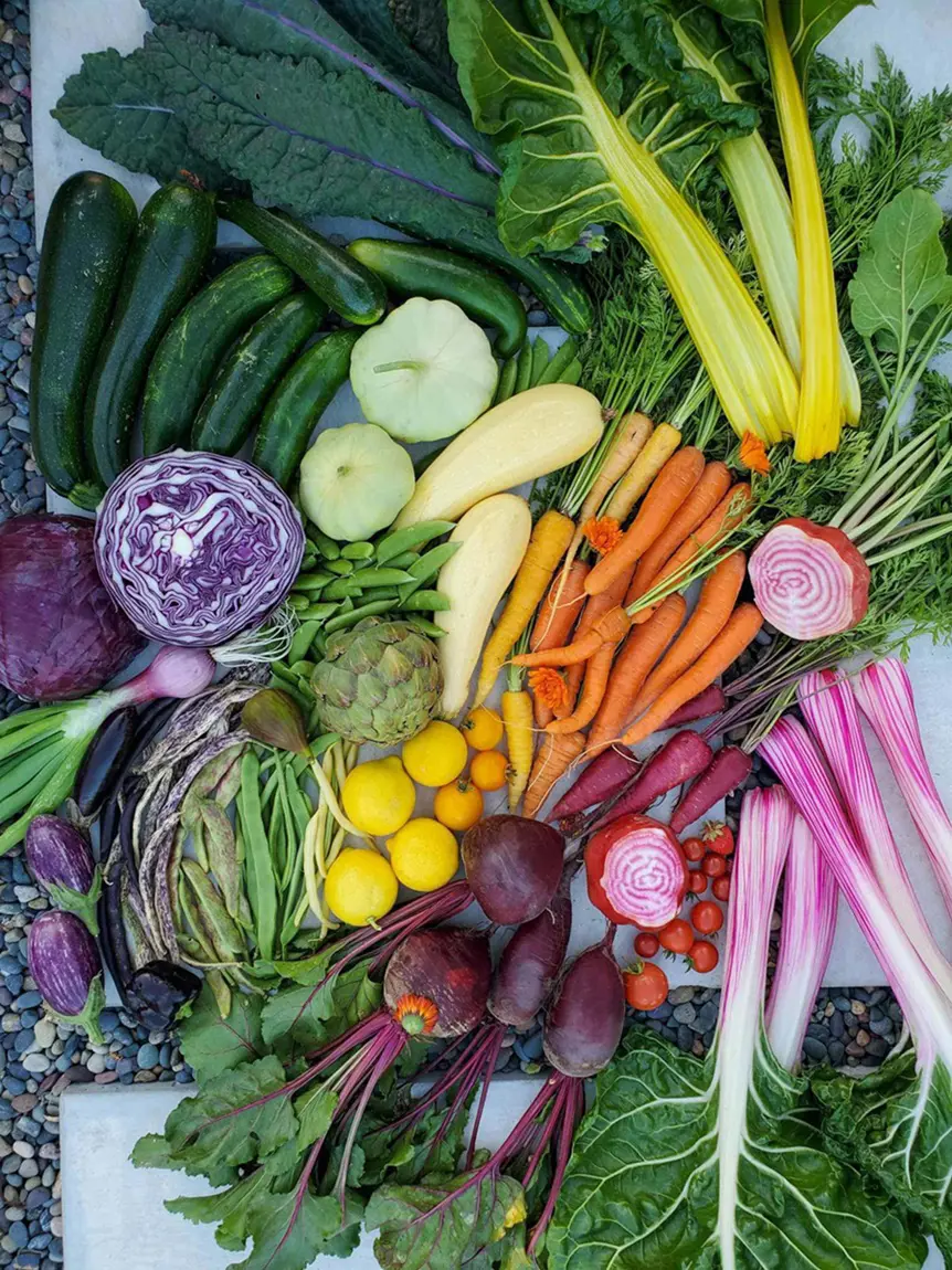 20 Spring Vegetables To Plant For A Nutritious Harvest