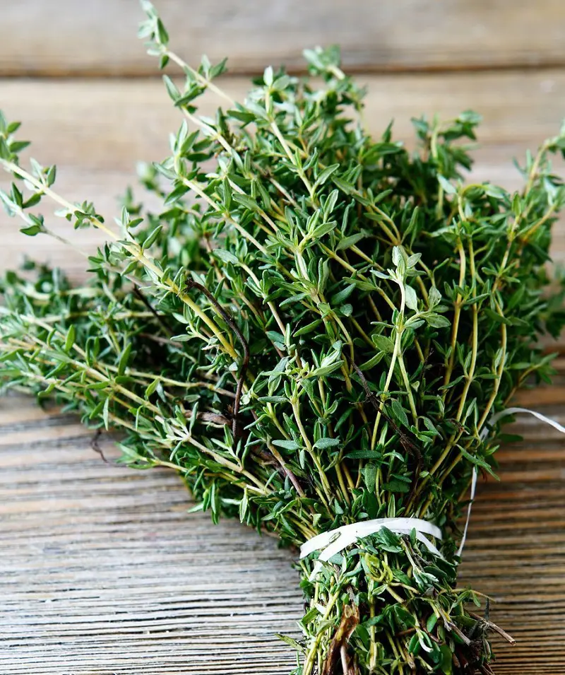 12 Ways To Dry Thyme At Home