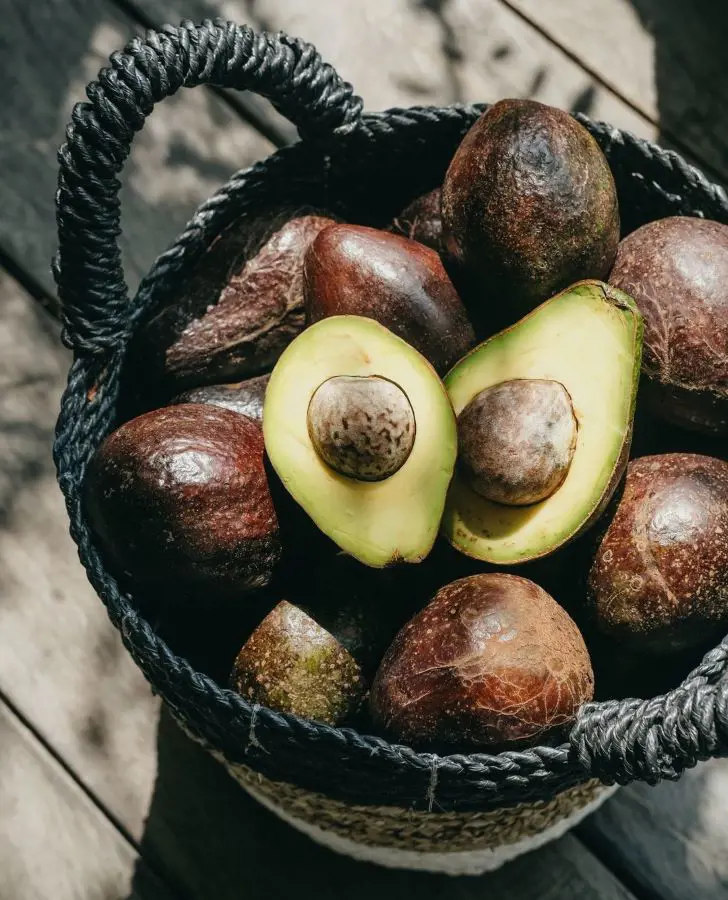 How To Store Avocados Long Term