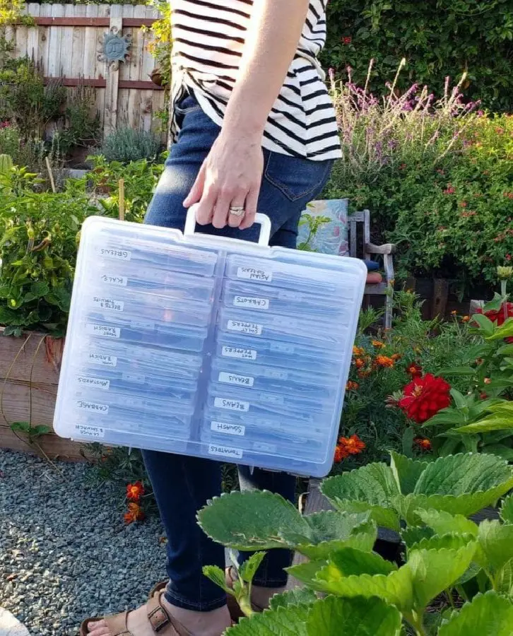 How To Store Seeds Long Term