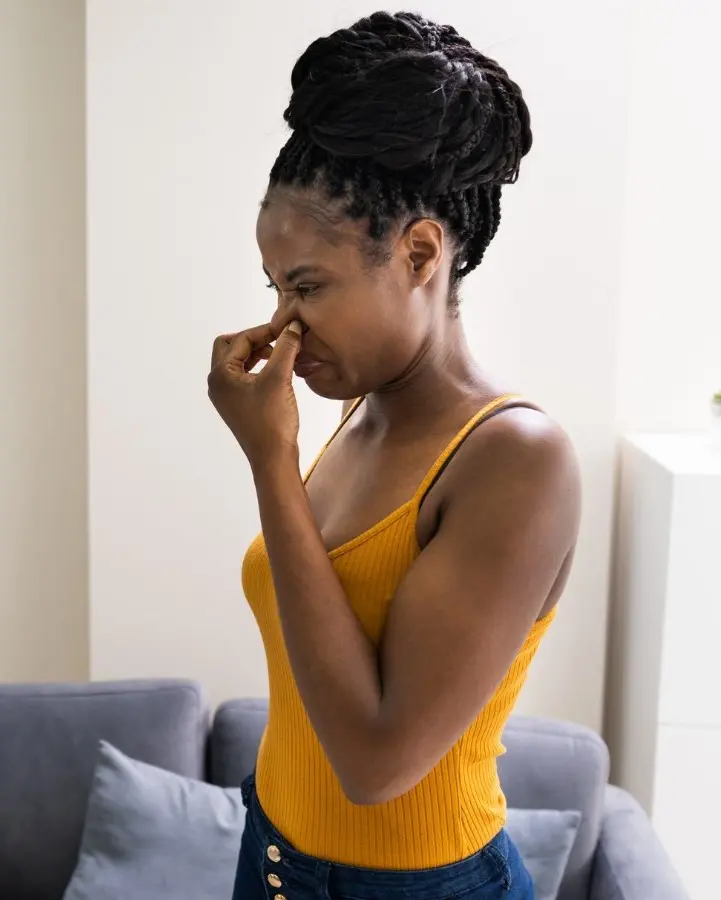 How To Get Rid Of Musty Smell