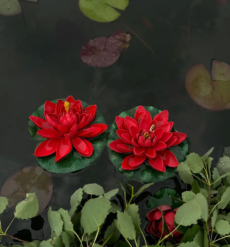 Lotus Flower Meaning, History And Symbolism