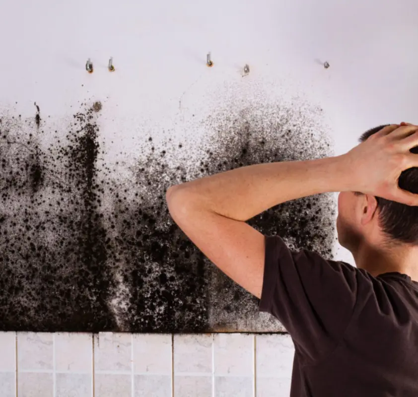 How To Clean Mold Off Walls Properly