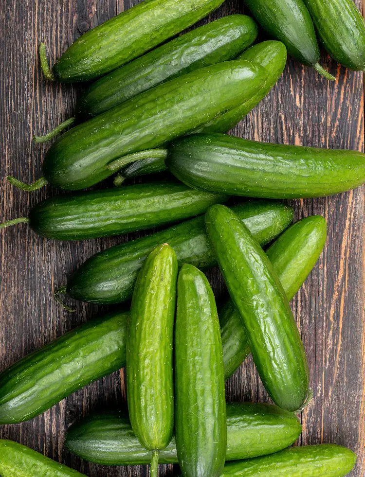 How To Plant, Grow And Care Cucumbers