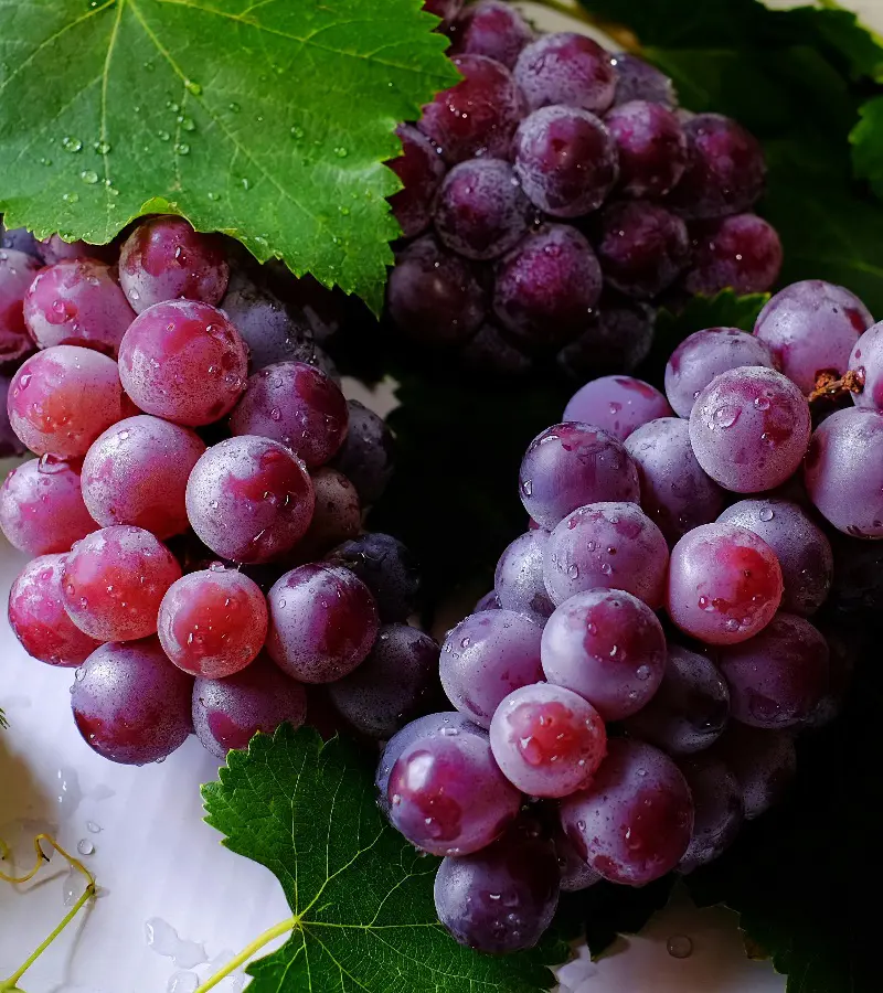 How To Store Grapes To Last Longer