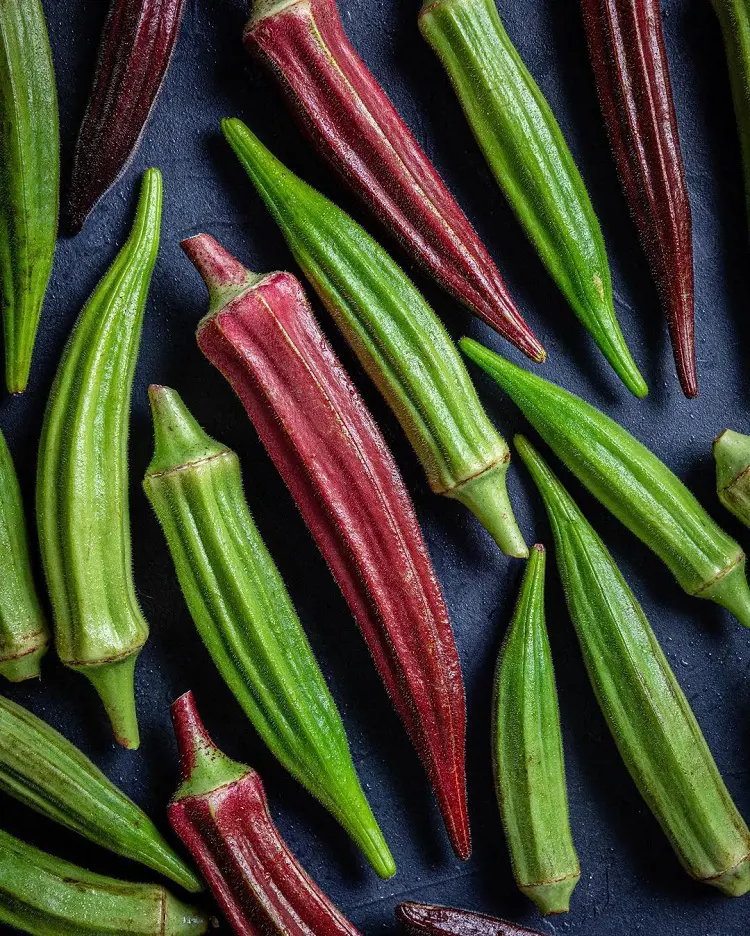 15 Tips To Grow Okra In Your Garden