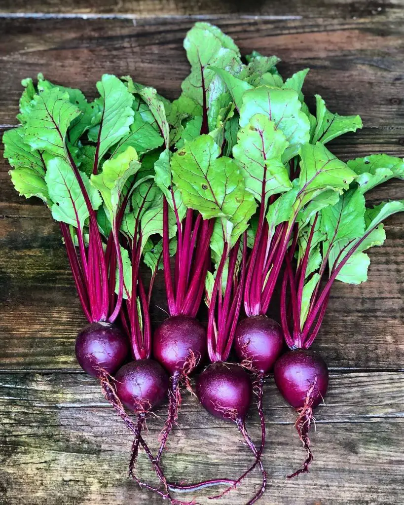 How To Store Beets And Keep Them Fresh Longer