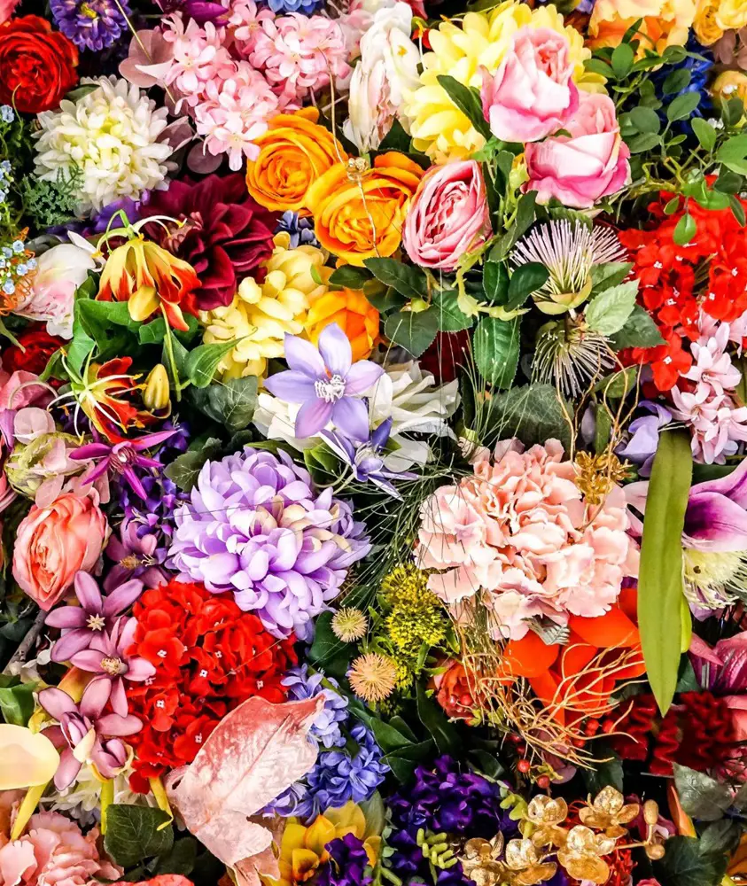 20 Flower Color And Their Meanings