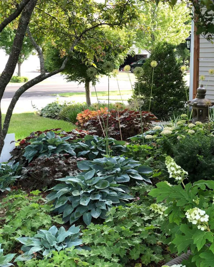 20 Shade Plants That Will Beautify Your Garden