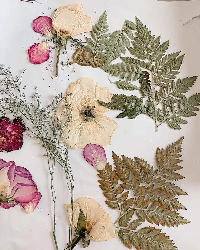 How To Press Flowers, Methods For Beginners