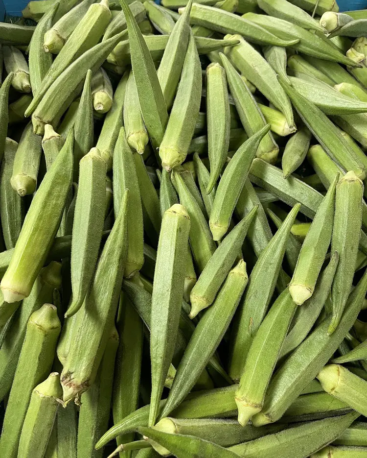 15 Best Okra Companion Plants