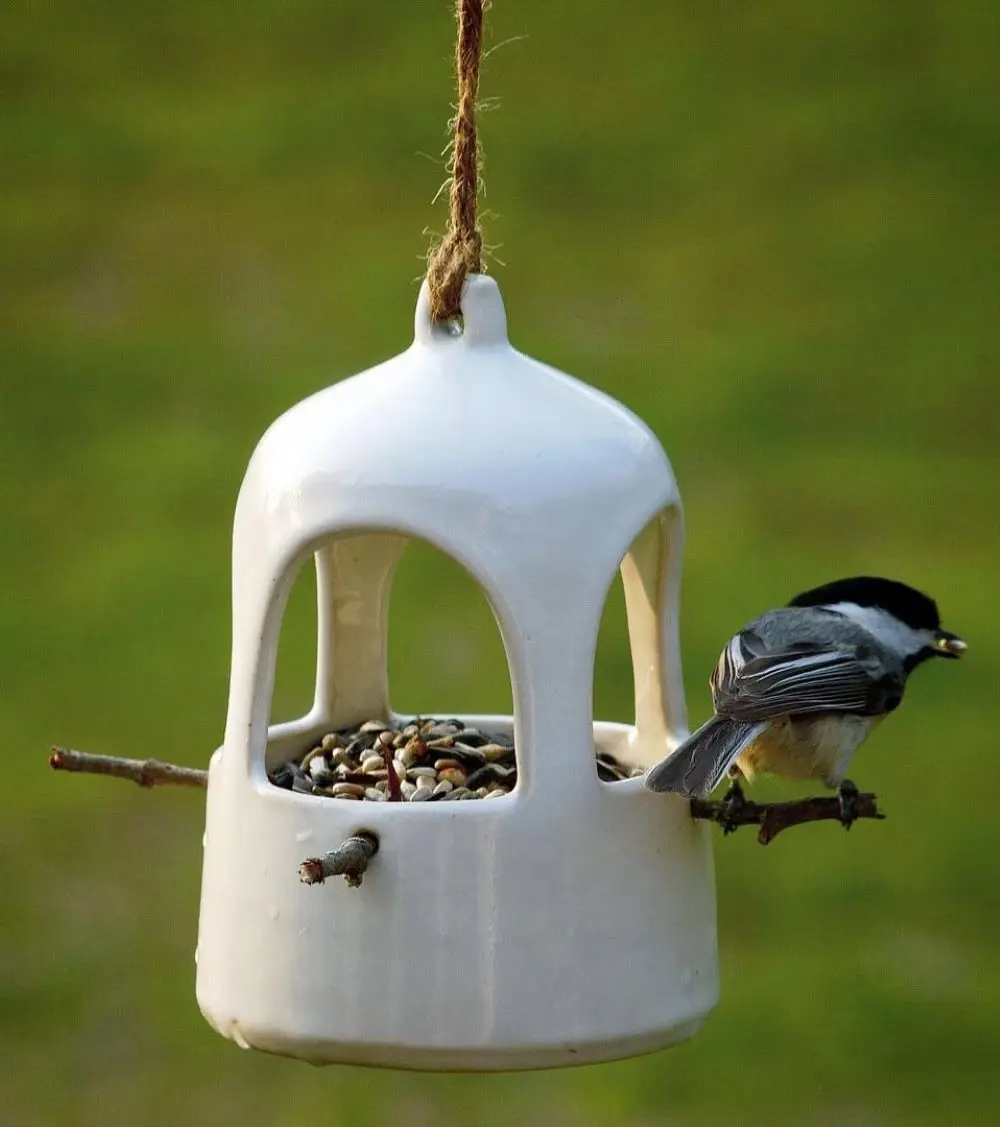 How To Attract Birds To Feeder?
