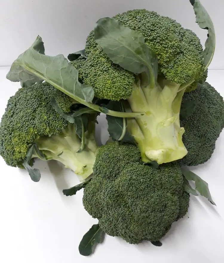 How To Grow Broccoli: A Step-By-Step Guide