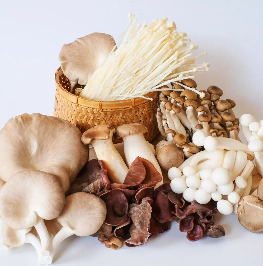 20 Types of Mushrooms from Around the World