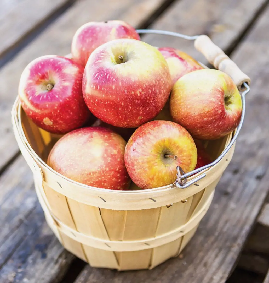11 Smart Ways To Store Apples