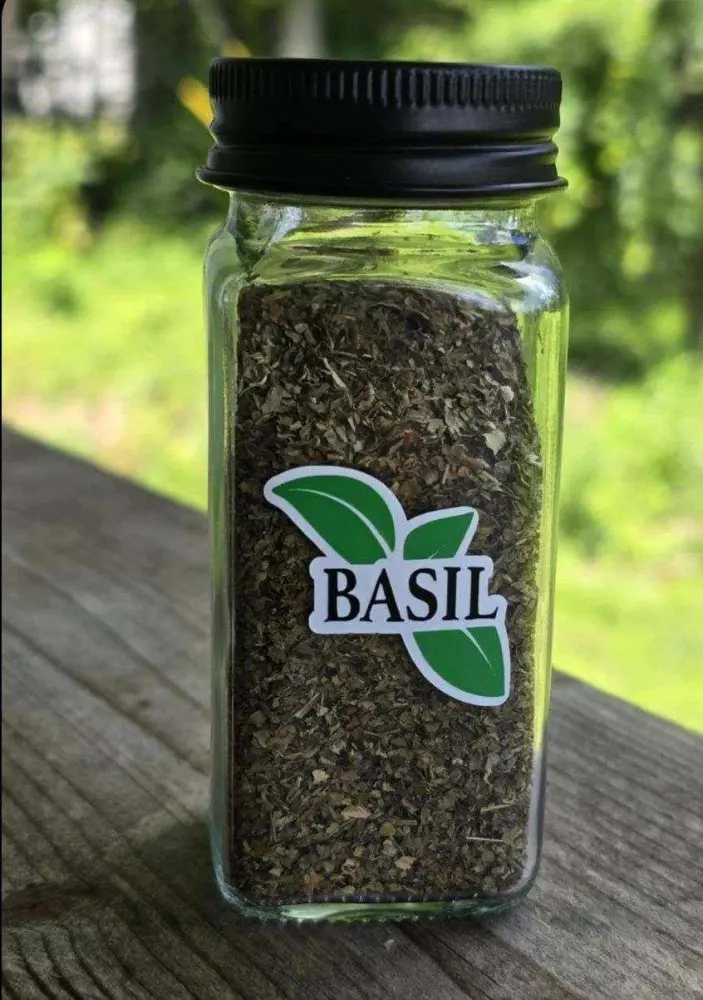 10 Ways To Dry Basil At Home