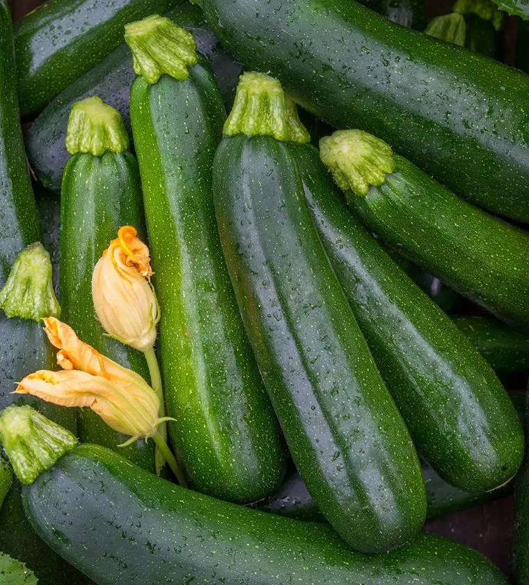 How To Store Zucchini - 9 Tips To Keep Fresh