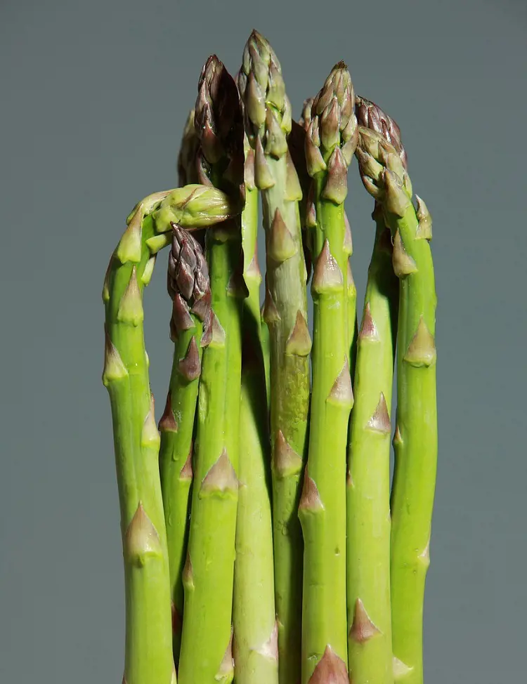 How To Plant, Grow And Care Asparagus In Your Backyard